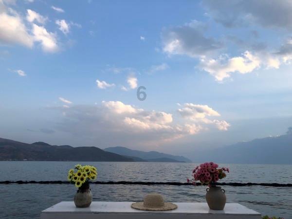李玫瑾已删除《繁花》点评,粉丝掉了几十万